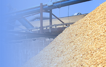  木片預(yù)處理酶