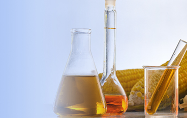  耐高溫α-淀粉酶