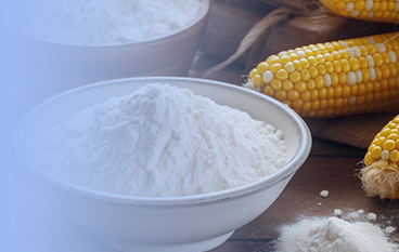  耐高溫α-淀粉酶