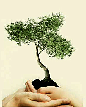 1595773460239377.jpg servicePic.jpg