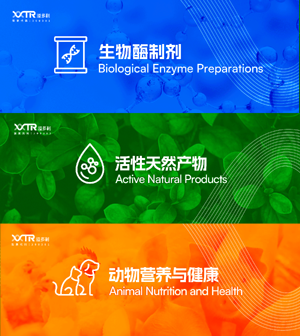 1720700932809883.png 0圖片1.png